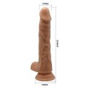 BAILE - BODACH, 7 VIBRATION FUNCTIONS 7 THRUSTING SETTINGS 7 ROTATION FUNCTIONS