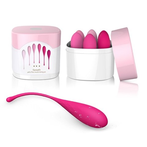 ZESTAW 6 KULKI GEJSZY DO ĆWICZENIA MIĘŚNI KEGLA FEELZTOYS - FEMMEFIT PELVIC MUSCLE TRAINING SET 6 PCS ZESTAW 6 KULKI GEJSZY DO ĆWICZENIA MIĘŚNI KEGLA FEELZTOYS - FEMMEFIT PELVIC MUSCLE TRAINING SET 6 PCS