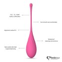 ZESTAW 6 KULKI GEJSZY DO ĆWICZENIA MIĘŚNI KEGLA FEELZTOYS - FEMMEFIT PELVIC MUSCLE TRAINING SET 6 PCS