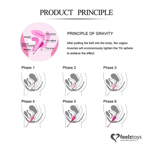 ZESTAW 6 KULKI GEJSZY DO ĆWICZENIA MIĘŚNI KEGLA FEELZTOYS - FEMMEFIT PELVIC MUSCLE TRAINING SET 6 PCS ZESTAW 6 KULKI GEJSZY DO ĆWICZENIA MIĘŚNI KEGLA FEELZTOYS - FEMMEFIT PELVIC MUSCLE TRAINING SET 6 PCS