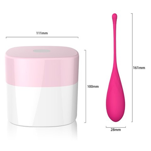 ZESTAW 6 KULKI GEJSZY DO ĆWICZENIA MIĘŚNI KEGLA FEELZTOYS - FEMMEFIT PELVIC MUSCLE TRAINING SET 6 PCS ZESTAW 6 KULKI GEJSZY DO ĆWICZENIA MIĘŚNI KEGLA FEELZTOYS - FEMMEFIT PELVIC MUSCLE TRAINING SET 6 PCS