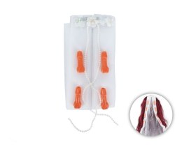 FUN PRODUCTS - VEIL WITH PENIS