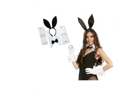 FUN PRODUCTS - WAITRESS BUNNY KIT FUN PRODUCTS - WAITRESS BUNNY KIT