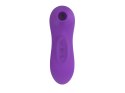 ORAL QUEEN PURPLE