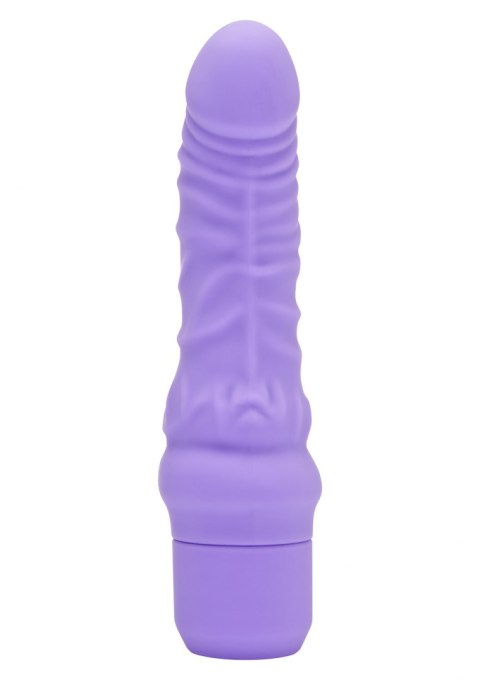 WIBRATOR-MINI CLASSIC G-SPOT VIBRATOR PURPLE WIBRATOR-MINI CLASSIC G-SPOT VIBRATOR PURPLE