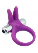 PIERŚCIEŃ EREKCYJNY SEX RING WIBRACJE STYMULATOR PIERŚCIEŃ-TIMELESS STRETCHY RING PURPLE