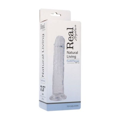 Dildo Clear Flavour XL Dildo Clear Flavour XL