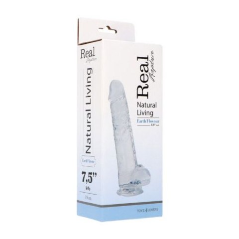 Dildo Clear Flavour Medium 3 Dildo Clear Flavour Medium 3