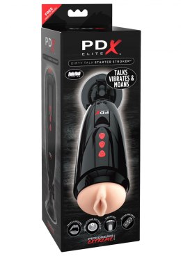 MASTURBATOR-DIRTY TALK STARTER STROKER