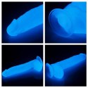 DILDO SZTUCZNY PENIS PRZYSSAWKA ŚWIECI NOCĄ 26 CM