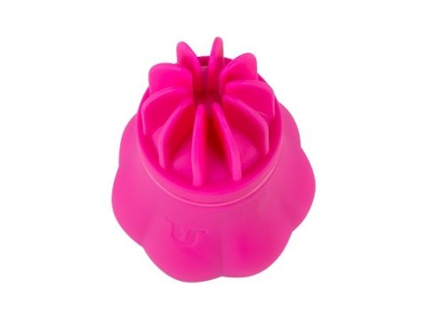 STYMULATOR-CARESS STYMULATOR-CARESS