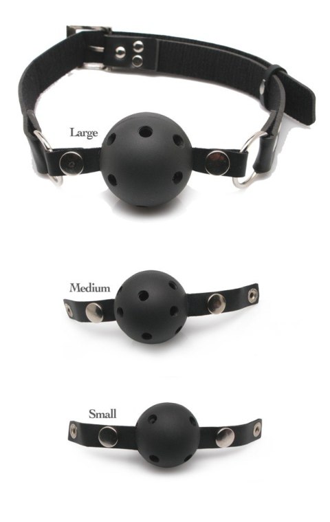 FFS BALL GAG TRAINING SYSTEM FFS BALL GAG TRAINING SYSTEM