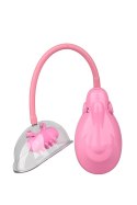 POMPKA POWIĘKSZENIE POCHWY DREAM TOYS VIBRATING VAGINA PUMP