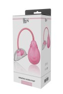 POMPKA POWIĘKSZENIE POCHWY DREAM TOYS VIBRATING VAGINA PUMP