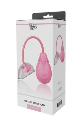 POMPKA POWIĘKSZENIE POCHWY DREAM TOYS VIBRATING VAGINA PUMP