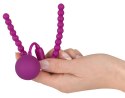 Intimate Spreader Pussy Gym