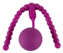 Intimate Spreader Pussy Gym