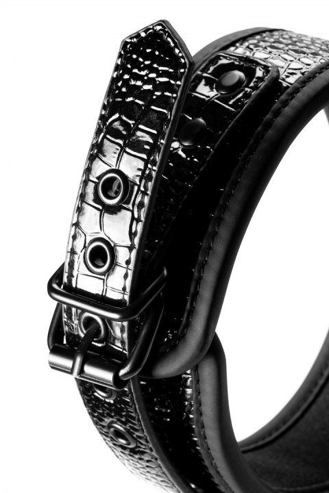 BLAZE COLLAR AND LEASH CROCO BLACK BLAZE COLLAR AND LEASH CROCO BLACK