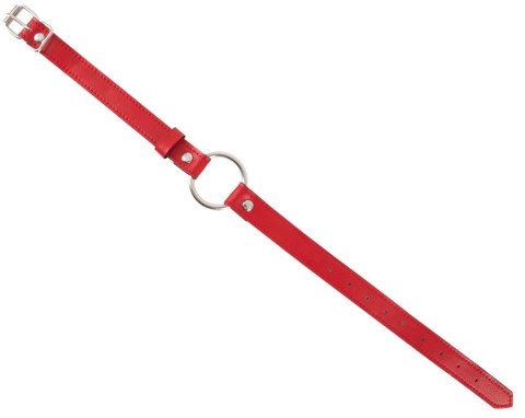 SOLIDNE KAJDANKI KRĘPOWANIE MOCNY SEX BDSM GADŻET BAD KITTY HARNESS SET RED SOLIDNE KAJDANKI KRĘPOWANIE MOCNY SEX BDSM GADŻET BAD KITTY HARNESS SET RED