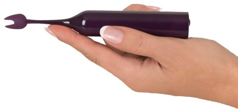 SPOT VIBRATOR WITH 2 TIPS SPOT VIBRATOR WITH 2 TIPS