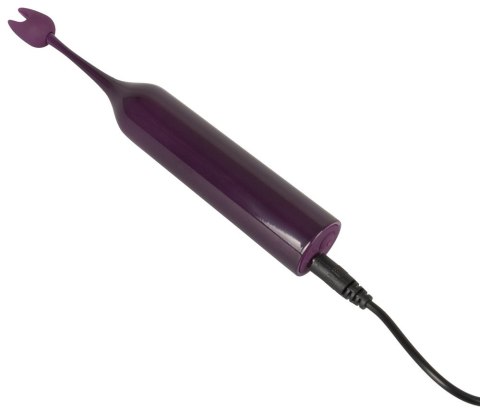 SPOT VIBRATOR WITH 2 TIPS SPOT VIBRATOR WITH 2 TIPS