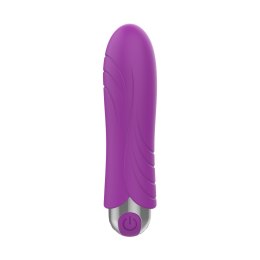 EXCLUSIVE BULLET USB 10 FUNCTIONS PURPLE