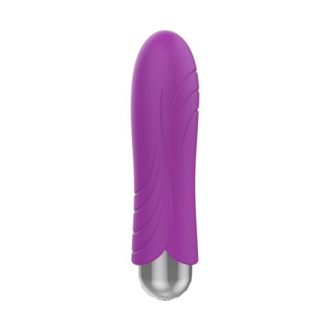 EXCLUSIVE BULLET USB 10 FUNCTIONS PURPLE EXCLUSIVE BULLET USB 10 FUNCTIONS PURPLE