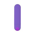POWER BULLET USB 10 FUNCTIONS GLOSSY MATTE PURPLE