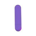 POWER BULLET USB 10 FUNCTIONS GLOSSY MATTE PURPLE