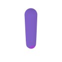POWER BULLET USB 10 FUNCTIONS GLOSSY MATTE PURPLE