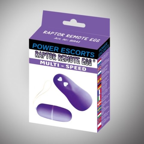 RAPTOR REMOTE EGG PURPLE REMOTE EGG RAPTOR REMOTE EGG PURPLE REMOTE EGG