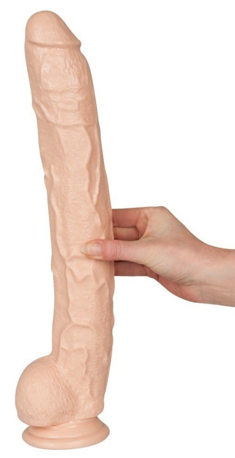 Dildo z przyssawką Dick Rambone 42 cm Doc Johnson Dildo z przyssawką Dick Rambone 42 cm Doc Johnson