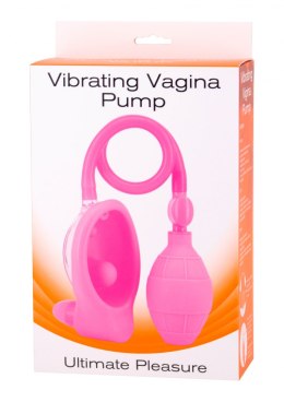 Pompka-Vibrating Vagina Pump