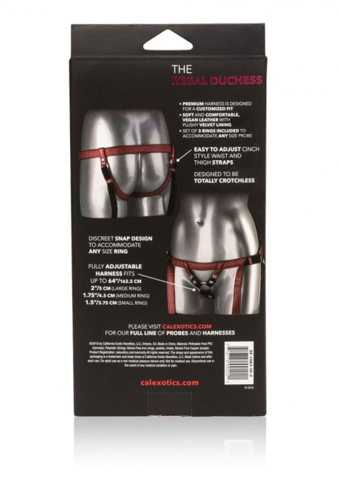 Proteza-The Regal Duchess Proteza-The Regal Duchess