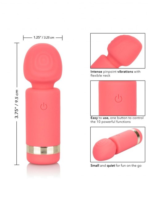 STYMULATOR-SLAY EXCITER STYMULATOR-SLAY EXCITER