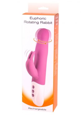 Euphoric Rotating Rabbit