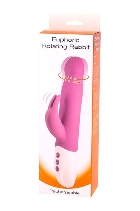EUPHORIC ROTATING RABBIT EUPHORIC ROTATING RABBIT