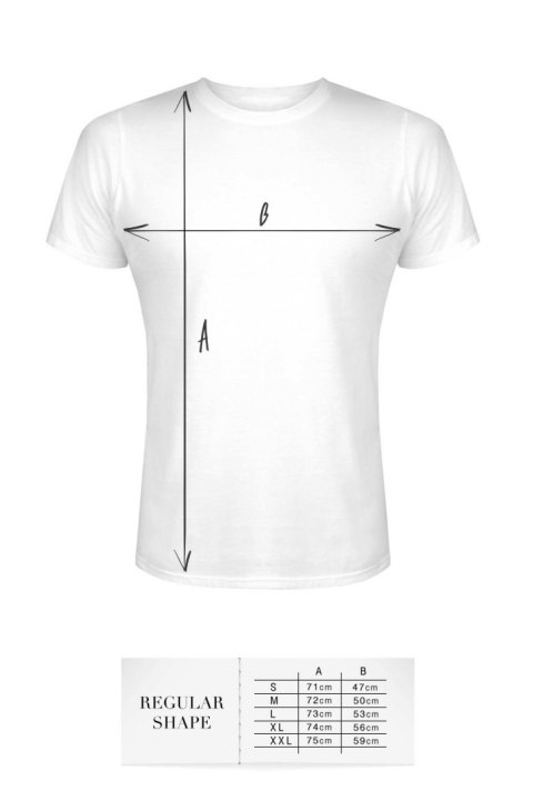 T-SHIRT MEN WHITE S REGULAR T-SHIRT MEN WHITE S REGULAR