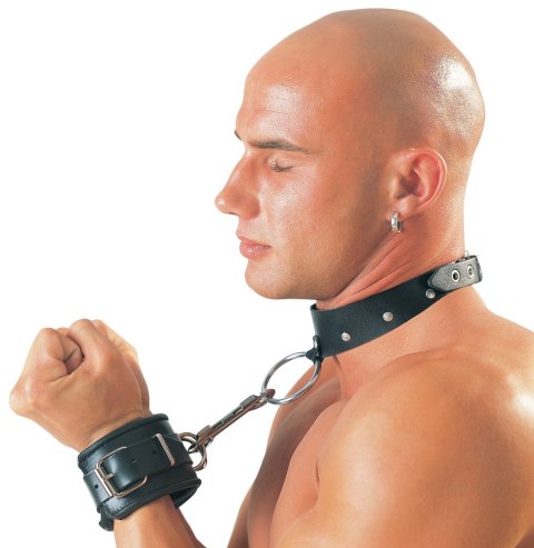 Leather collar Leather collar