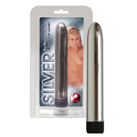 Silver Vibrator Silver Vibrator