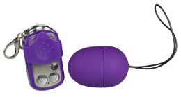 RC Purple & Silky Vibro-bullet