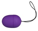 RC Purple & Silky Vibro-bullet