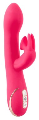 Rabbit Euphoria Pink