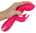 Rabbit Euphoria Pink