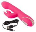 Rabbit Euphoria Pink