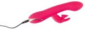 Rabbit Euphoria Pink