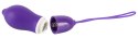 Smile Purple Bullet