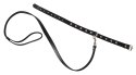 Leather Collar and Leash