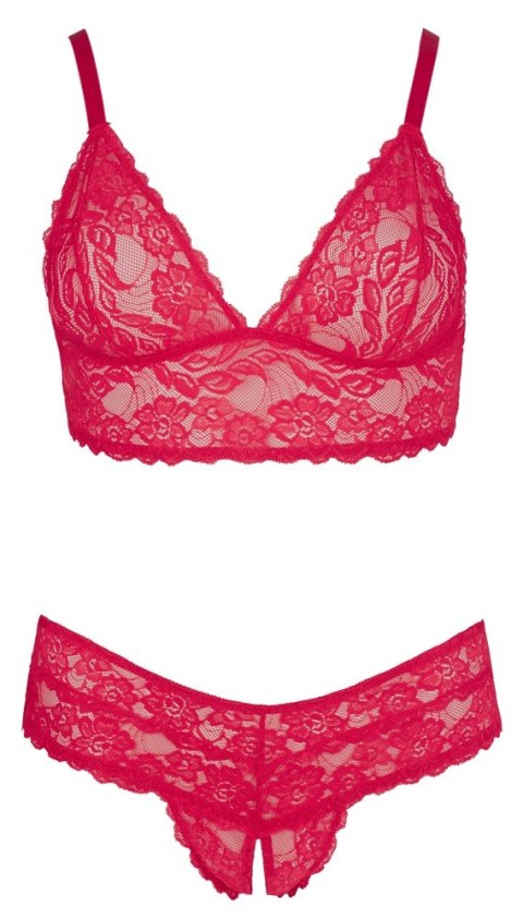 BRA AND RED BRIEFS 3XL BRA AND RED BRIEFS 3XL