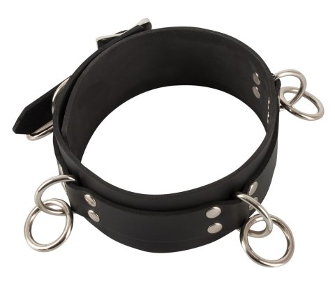 Latex Collar Latex Collar